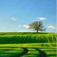 vue3 教﻿程﻿视‍频﻿下‍载‍