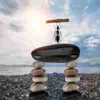 缓​存‍ 设‍计﻿